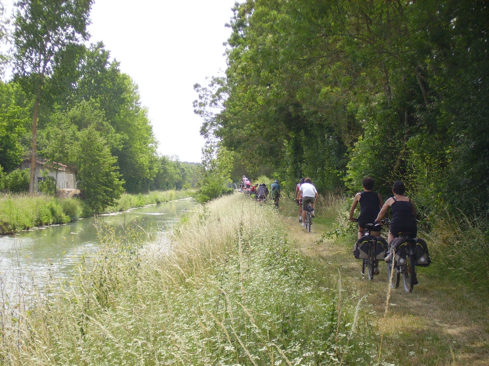 marais_poitevin_1